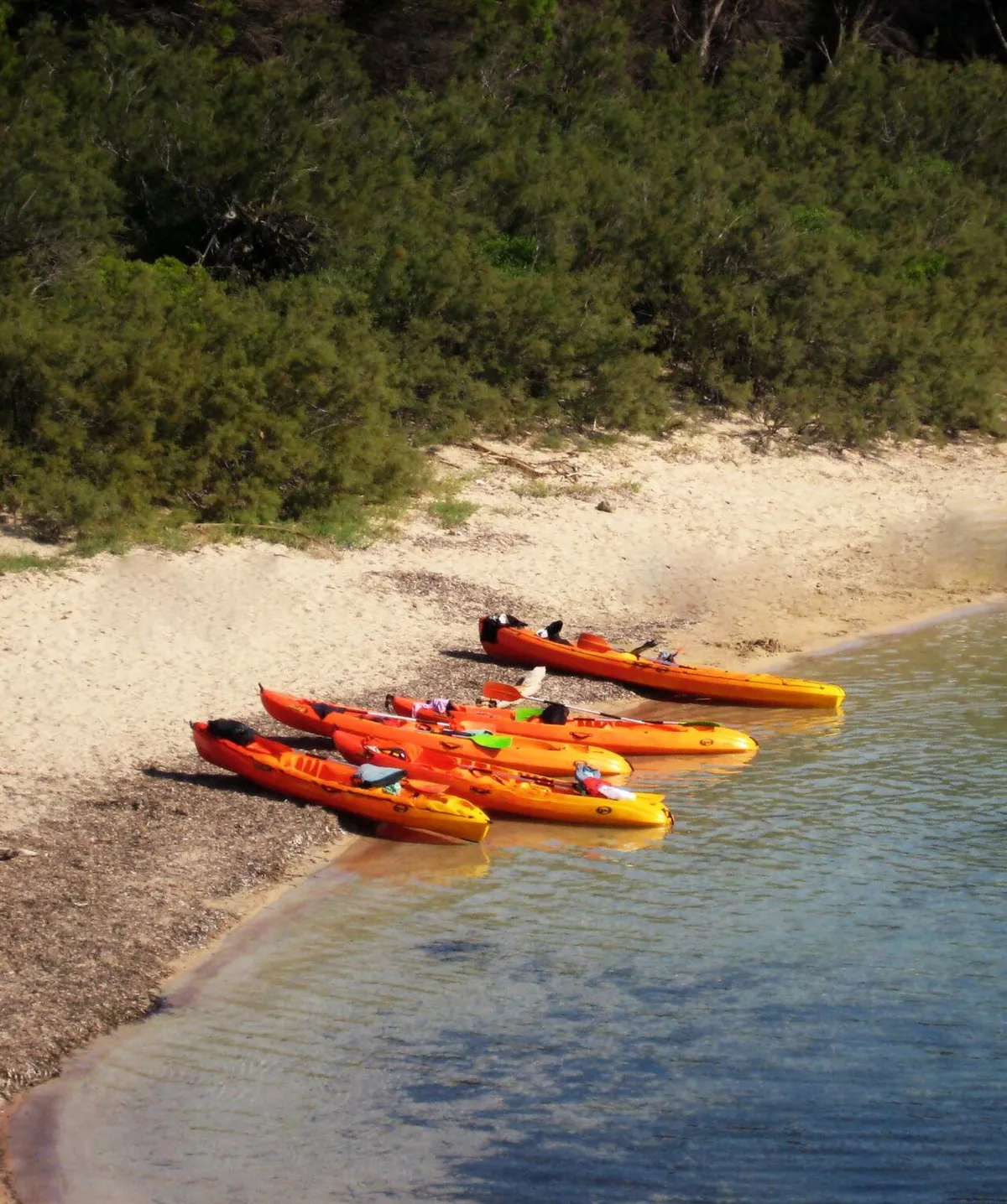 Sea kayaks pulled up on the sand at Illa d'en Colom near Es Grau in Menorca, the kayak half of the kayak tour or boat trip choice